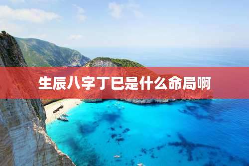 生辰八字丁巳是什么命局啊