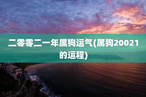 二零零二一年属狗运气(属狗20021的运程)