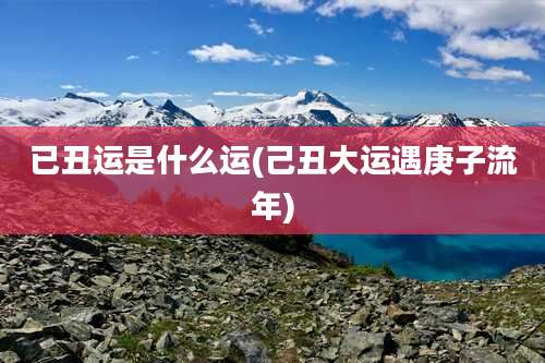 已丑运是什么运(己丑大运遇庚子流年)