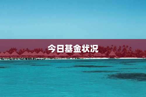 今日基金状况