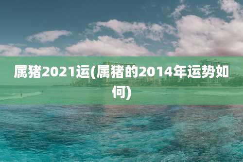 属猪2021运(属猪的2014年运势如何)