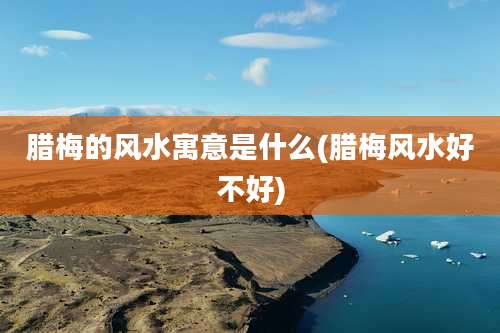 腊梅的风水寓意是什么(腊梅风水好不好)