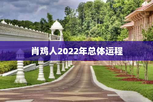 肖鸡人2022年总体运程