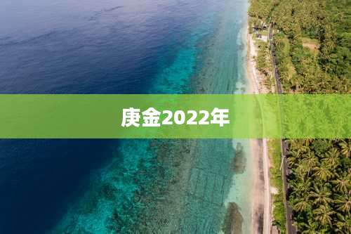 庚金2022年