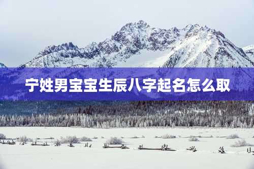 宁姓男宝宝生辰八字起名怎么取