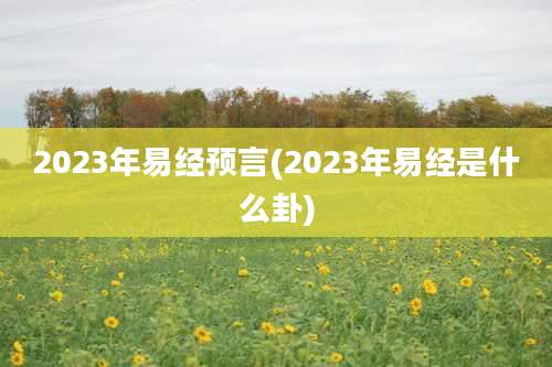 2023年易经预言(2023年易经是什么卦)