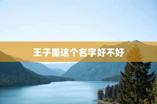 王子墨这个名字好不好