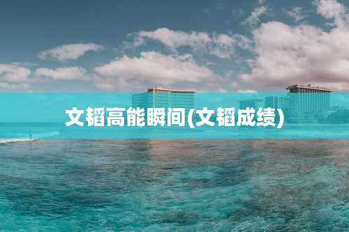 文韬高能瞬间(文韬成绩)