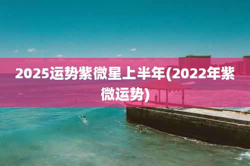 2025运势紫微星上半年(2022年紫微运势)
