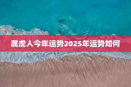 属虎人今年运势2025年运势如何