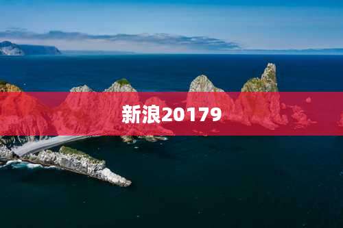 新浪20179