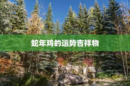 蛇年鸡的运势吉祥物