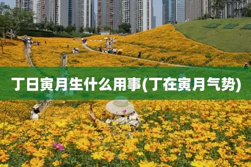 丁日寅月生什么用事(丁在寅月气势)