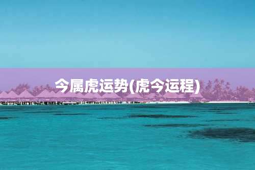 今属虎运势(虎今运程)