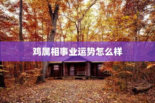 鸡属相事业运势怎么样