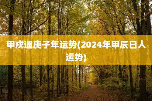 甲戌遇庚子年运势(2024年甲辰日人运势)