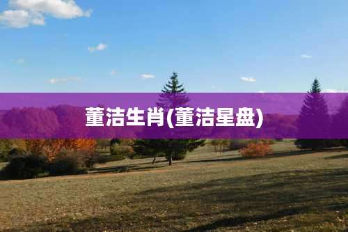 董洁生肖(董洁星盘)