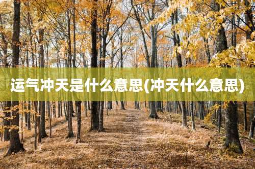 运气冲天是什么意思(冲天什么意思)