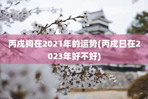 丙戌狗在2021年的运势(丙戌日在2023年好不好)