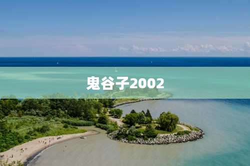 鬼谷子2002