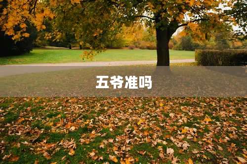 五爷准吗