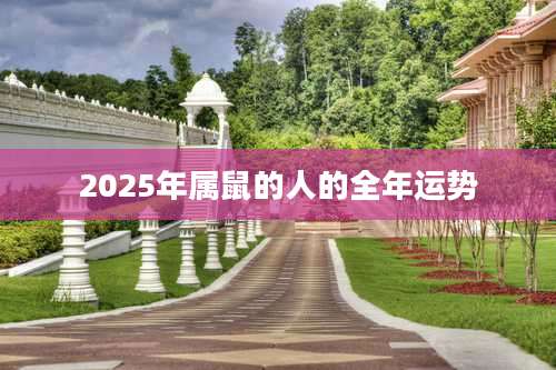 2025年属鼠的人的全年运势