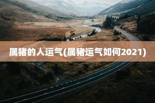 属猪的人运气(属猪运气如何2021)