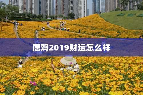 属鸡2019财运怎么样