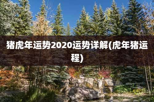 猪虎年运势2020运势详解(虎年猪运程)