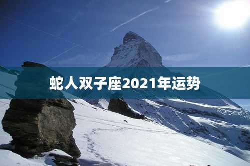 蛇人双子座2021年运势