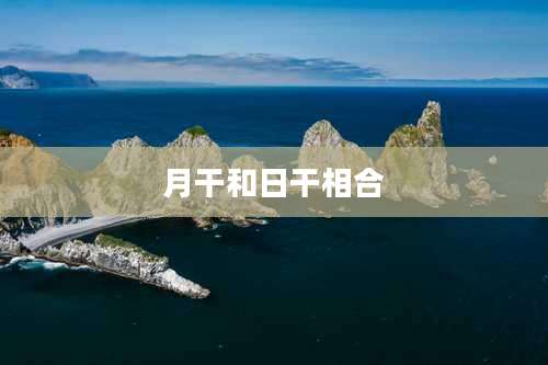 月干和日干相合