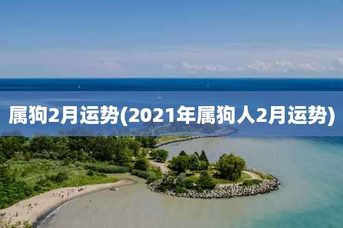 属狗2月运势(2021年属狗人2月运势)