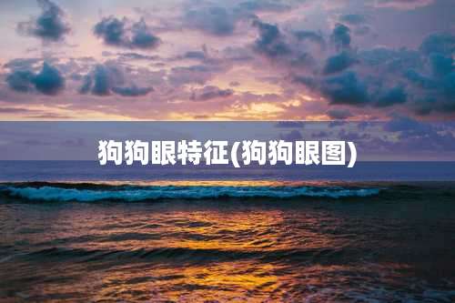 狗狗眼特征(狗狗眼图)