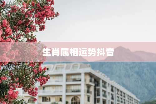 生肖属相运势抖音