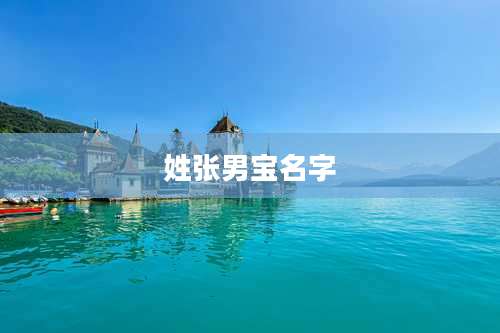 姓张男宝名字