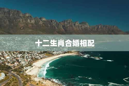 十二生肖合婚相配