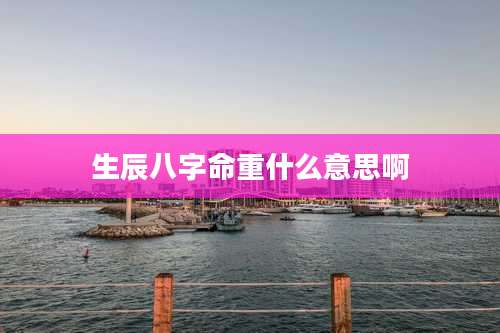 生辰八字命重什么意思啊