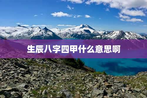 生辰八字四甲什么意思啊