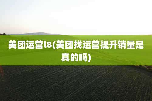 美团运营l8(美团找运营提升销量是真的吗)