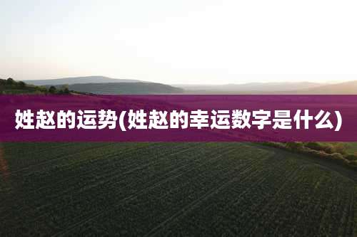 姓赵的运势(姓赵的幸运数字是什么)