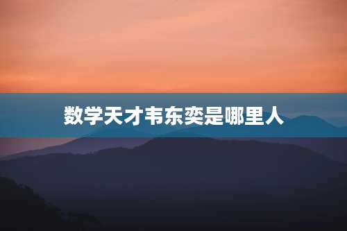 数学天才韦东奕是哪里人