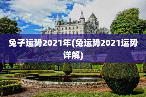 兔子运势2021年(兔运势2021运势详解)