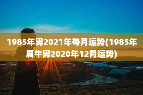 1985年男2021年每月运势(1985年属牛男2020年12月运势)