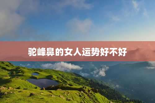 驼峰鼻的女人运势好不好