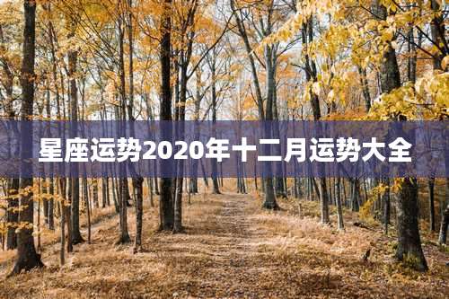 星座运势2020年十二月运势大全