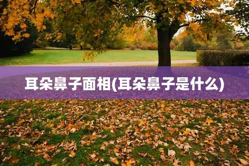 耳朵鼻子面相(耳朵鼻子是什么)