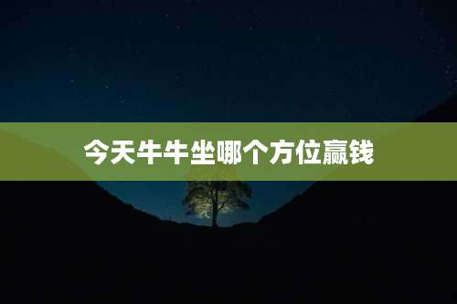 今天牛牛坐哪个方位赢钱