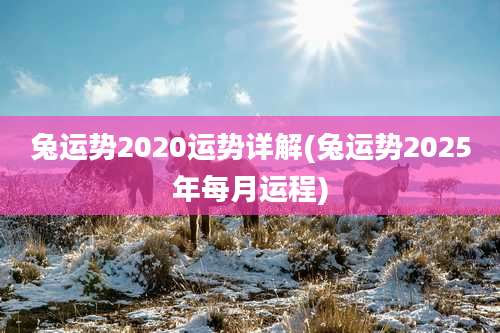 兔运势2020运势详解(兔运势2025年每月运程)