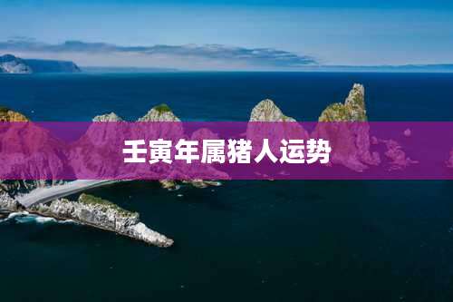 壬寅年属猪人运势