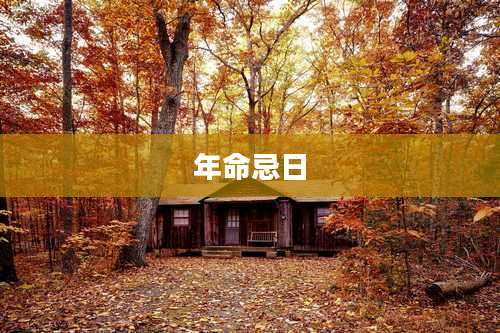 年命忌日